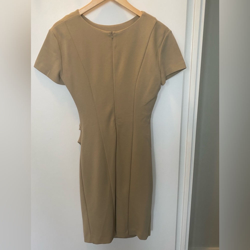 Tiger of Sweden Mariah Ruched Dress - Picture 4 of 6